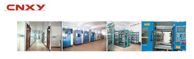 Yueqing Xingyang Electronic Co.,ltd